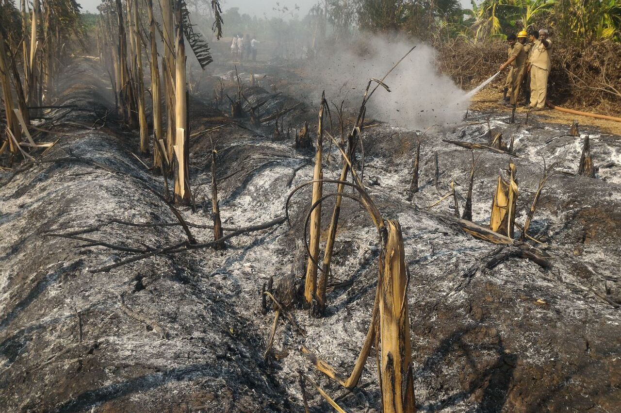 ತೋಟಕ್ಕೆ ಬೆಂಕಿ: ಲಕ್ಷಾಂತರ ರೂ. ಹಾನಿ